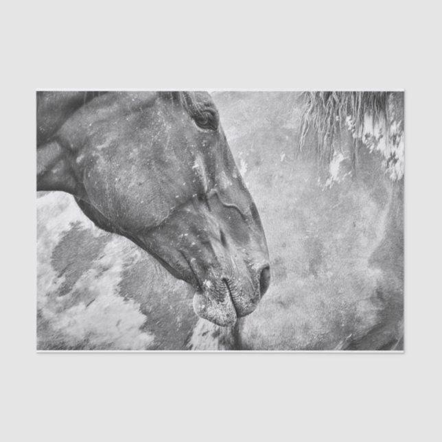 Papel De Seda Decoupage Negra-Branca, Rústica Do País Do Cavalo (Frente )