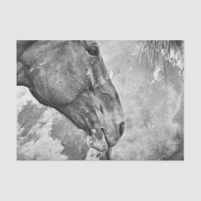 Papel De Seda Decoupage Negra-Branca, Rústica Do País Do Cavalo (Frente )