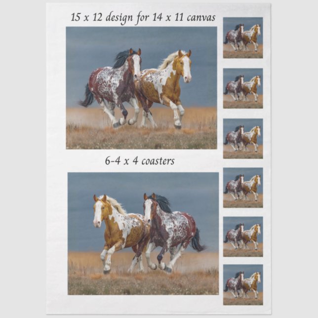 Papel De Seda Decoupage Painted Horses Running 11x14 Canvas (Frente )