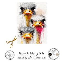 Papel De Seda Decoupage Trio de Emus Australianos Arte de Vida S