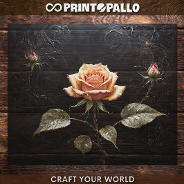Papel De Seda Decoupage - Uma única rosa rosa em preto -