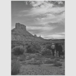 Papel De Seda Decoupage Western Solitude Lisa Chappell