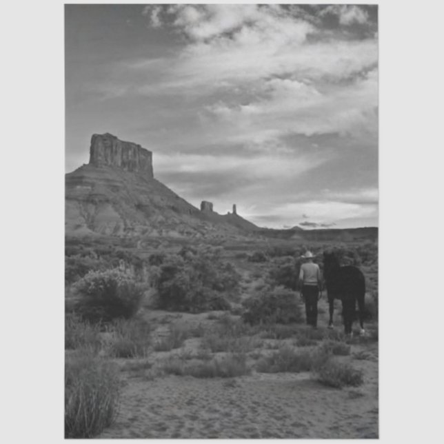 Papel De Seda Decoupage Western Solitude Lisa Chappell (Frente )