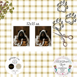 Papel De Seda Decoupage Whimsical Bear Cub Toilet Paper Bathroom