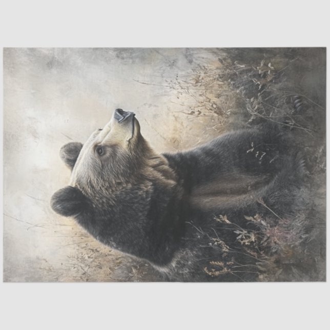Papel De Seda Decoupage Wildlife Bear Natural Setting in Field (Frente )