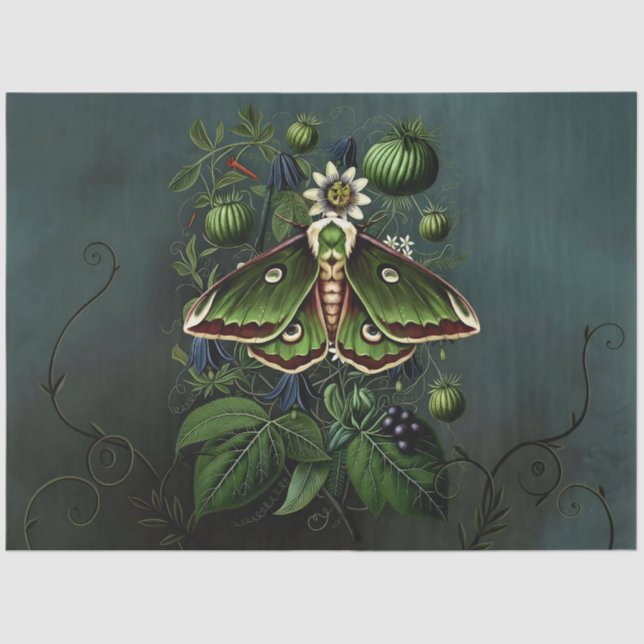 Papel De Seda Decoupage Woodland Moth Illustration (Frente )