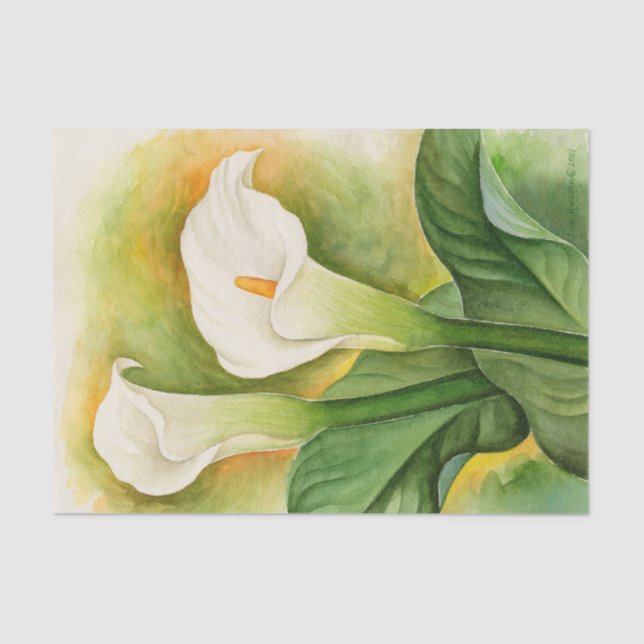 Papel De Seda Decoupagem de Lírio Cala Branco Floral em Aquarela (Frente )