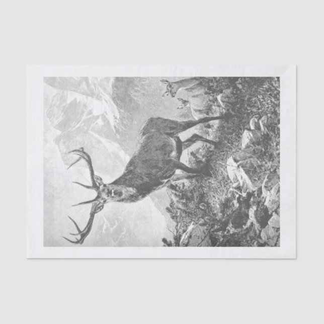 Papel De Seda Deer in the High Mountains Tissue Paper (Frente )