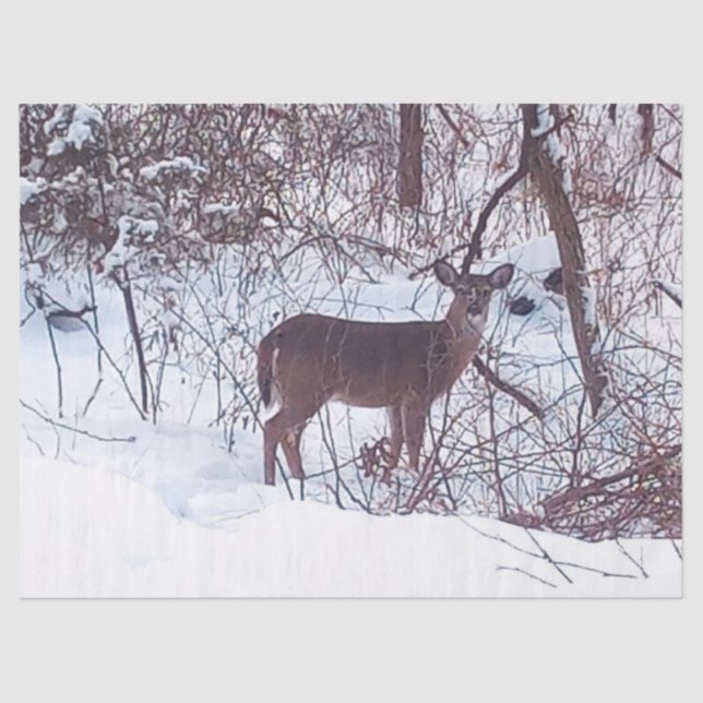 Papel De Seda Deer in Winter Snow Photo Tissue Paper (Frente )
