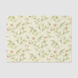Papel De Seda Delicar Creme Verde n Blush Botanical Patterno
