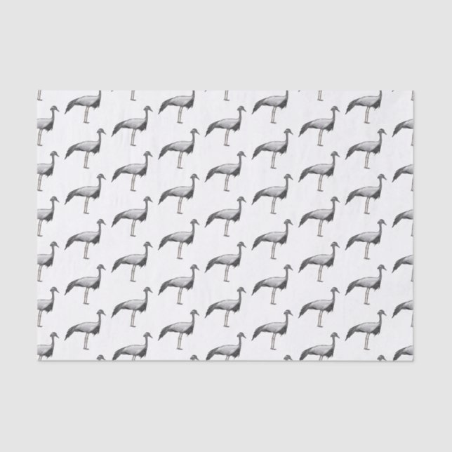 Papel De Seda Demoiselle crane bird cartoon illustration  (Frente )