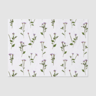 Papel De Seda denso de galinha