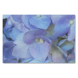 Papel De Seda depósito de flores azul de hydrangea