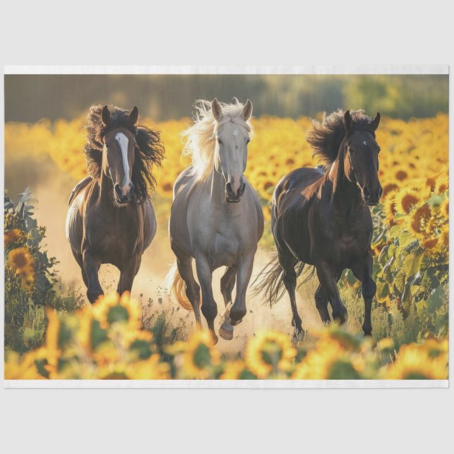 Papel De Seda Desacoplamento 3 Cavalos em campo Sunflower (Frente )