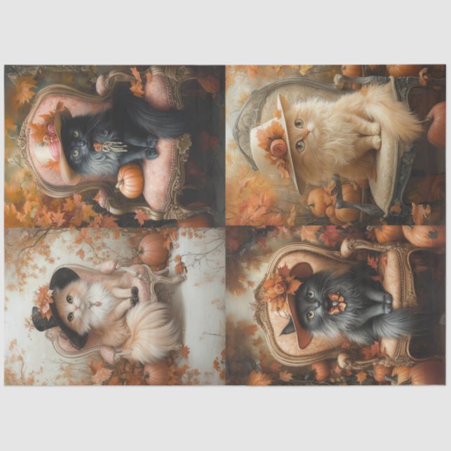 Papel De Seda Desacoplamento 4 Configuração de queda de imagem c (Frente )