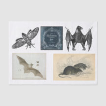 Desacoplamento da coleção de Halloween