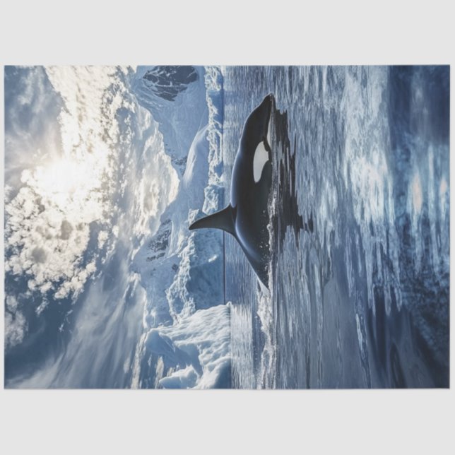 Papel De Seda Desacoplamento de Águas Gicas de Orca de Baleia As (Frente )