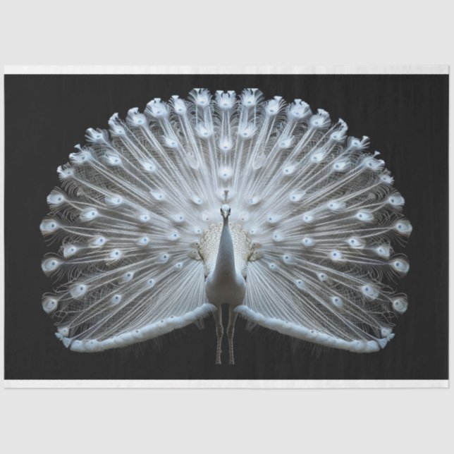 Papel De Seda Desacoplamento de Pavão Branco (Frente )