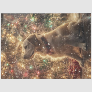 Papel De Seda Desagrupar Luzes de Árvore de Natal Douradas do Re