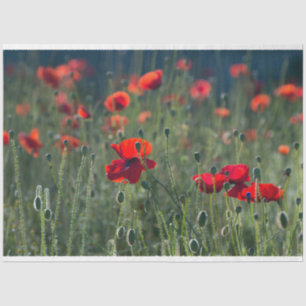 Papel De Seda Desanexação de Campo de Preto Vermelho