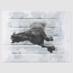 Papel De Seda Desanexação de Cavalo Frísia Preto