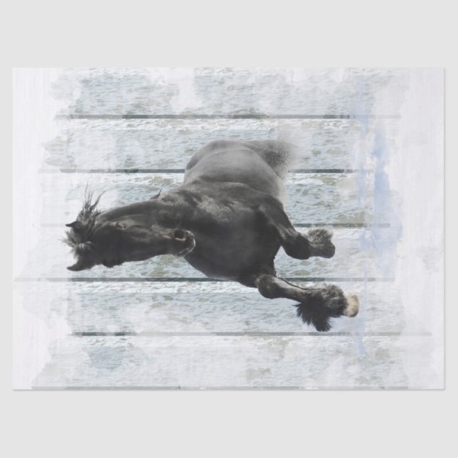 Papel De Seda Desanexação de Cavalo Frísia Preto (Frente )