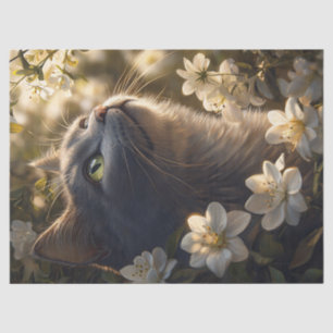 Papel De Seda Descamação de Flores Brancas de Gato Azul Russo