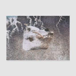 Papel De Seda Descamação de Textura da Fazenda da Cinza do Cavei