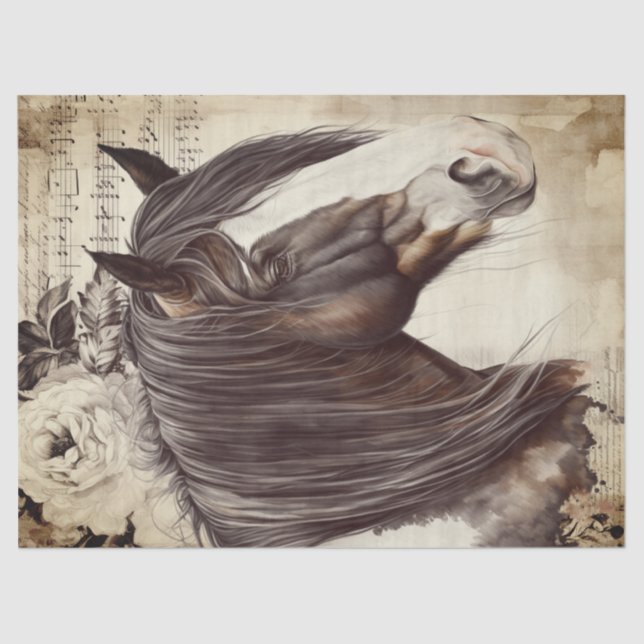 Papel De Seda Descamação do Cavalo de Cob Irlandês (Frente )