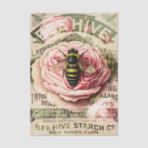 Papel De Seda Descamação do Chique Rosa Rosa Rosa Rosa Vintage
