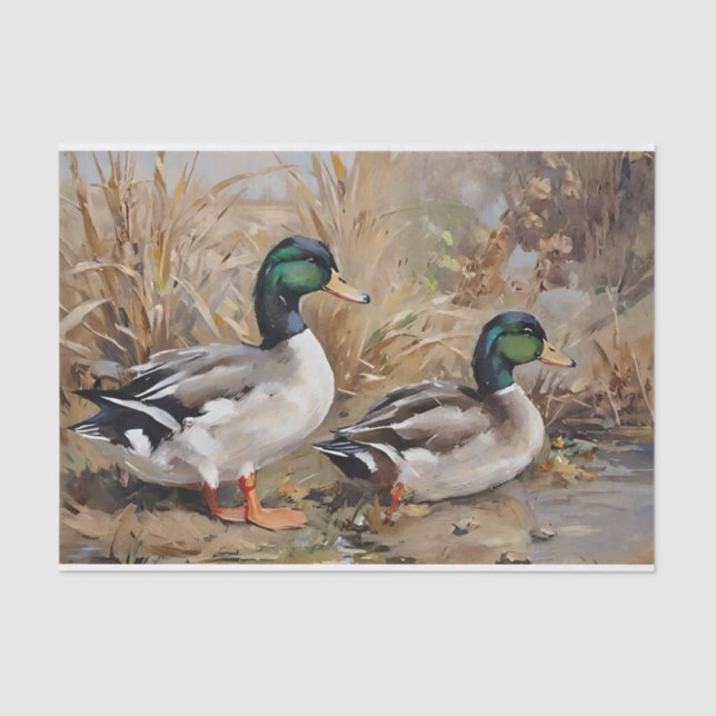 Papel De Seda Descaptação de Aquarela dos Patos-de-Mallard (Frente )