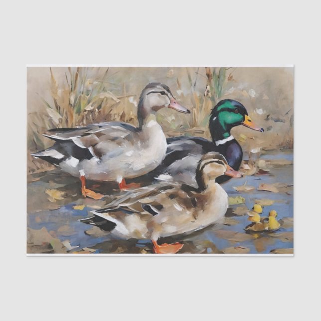 Papel De Seda Descaptação de Aquarela dos Patos-de-Mallard (Frente )