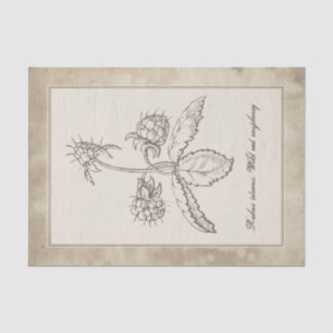 Papel De Seda Descaptação de Pergaminho da Fruta da Flor Botânic