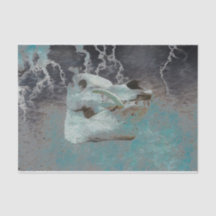 Descaptação de Textura da Cinza de Teto do Suíno