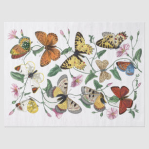 Papel De Seda Descoberta da Flor Gloriosa Amarela