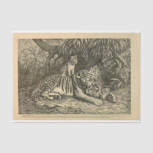 Papel De Seda Descodificação Ephemera do Cub Tigre