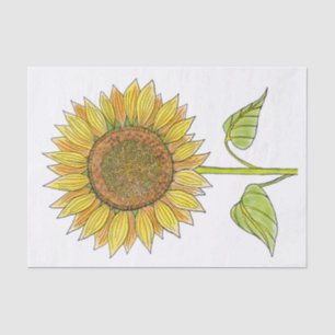 Papel De Seda Descolagem de Cores de Água do Armário Elegant
