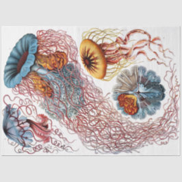 Papel De Seda Desconto do Mar 8 Desordem de Ernst Haeckel