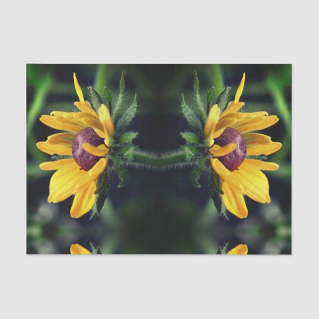 Papel De Seda Desdobramento de Abstrato de Susan Olhada Negra (Frente )