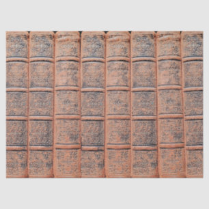 Papel De Seda Desduplicação da Biblioteca de Livros Beige Antigo