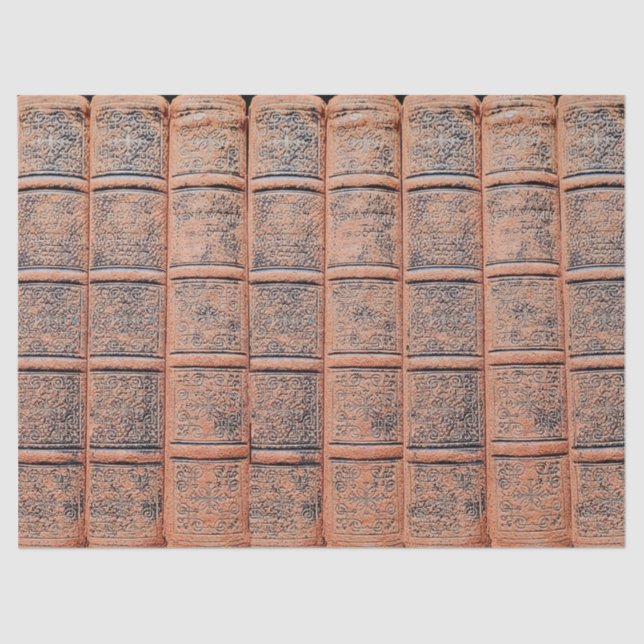 Papel De Seda Desduplicação da Biblioteca de Livros Beige Antigo (Frente )