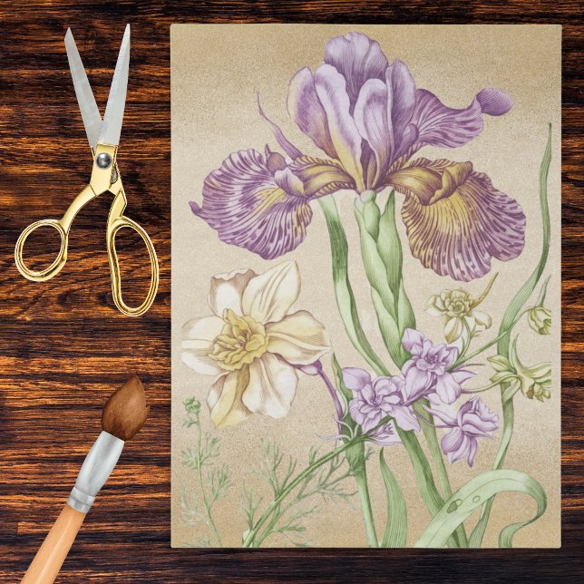 Papel De Seda Desenho Botânico de Íris Antiga em Roxo e Dourado (Criador carregado)