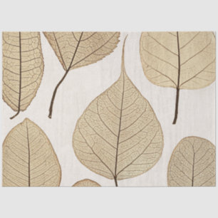 Papel De Seda Desenho Botânico Naturalista Vintage   Folhas 1858