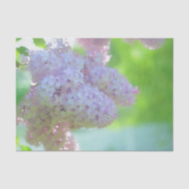Papel De Seda Desenho de Campo Roxo de Flor de Lilás em Aquarela