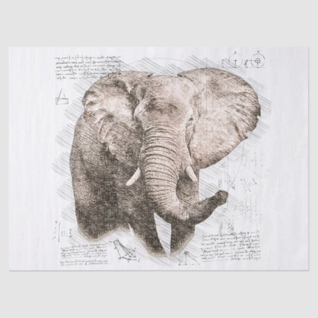 Papel De Seda Desenho de elefante (Frente )