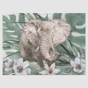Papel De Seda Desenho de elefante