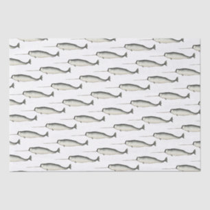 Papel De Seda Desenho de Narval Antigo #3