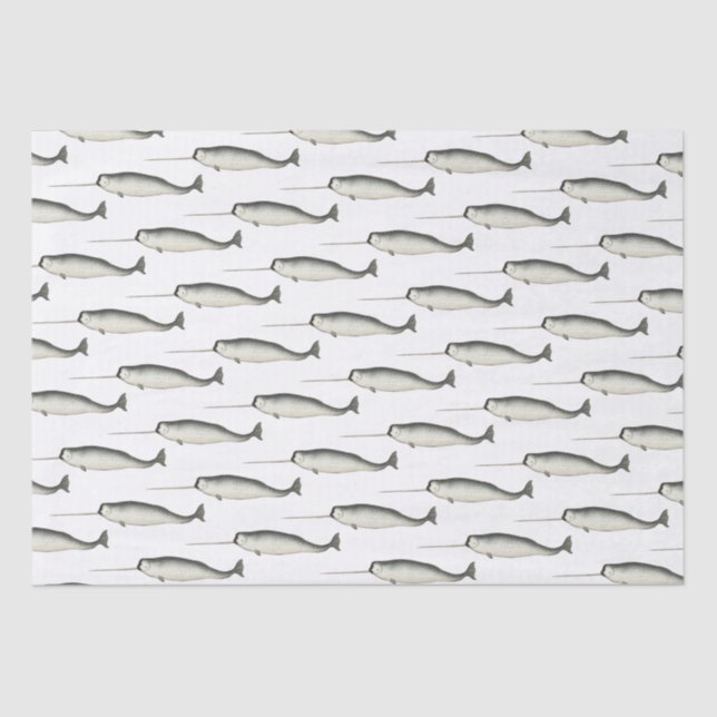 Papel De Seda Desenho de Narval Antigo #3 (Frente )