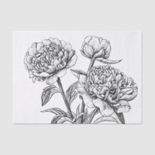 Papel De Seda Desenho de tinta à base de amendoim