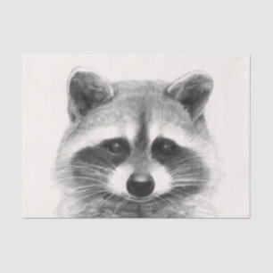 Papel De Seda Desenho do Lápis de Raccoon